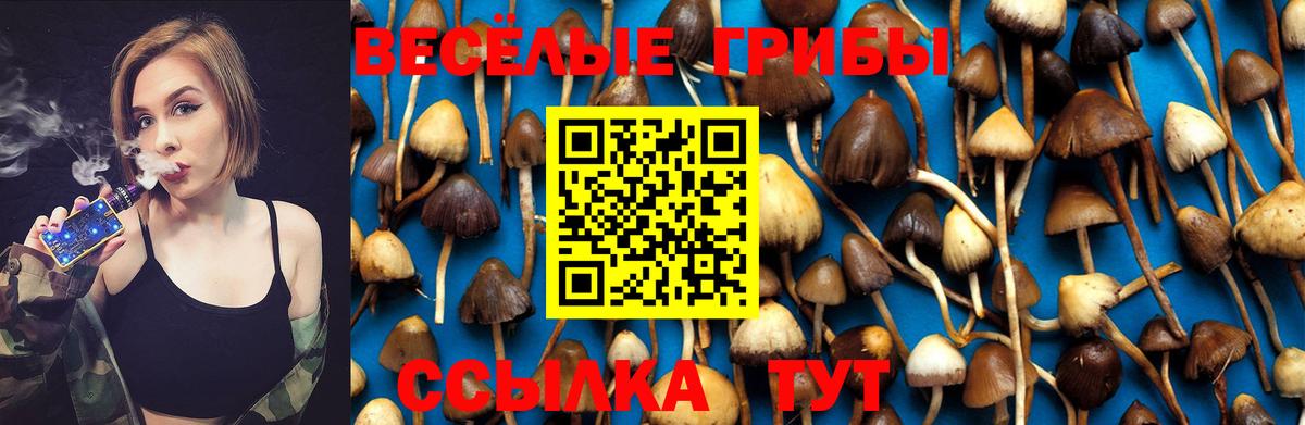 Псилоцибиновые грибы Magic Shrooms Рыбинск